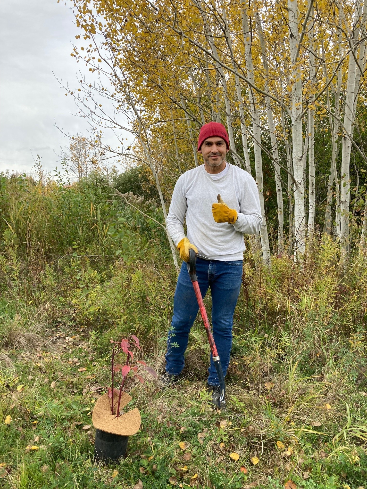 Image of 93 trees planted at Heritage Park in City of Peterborough