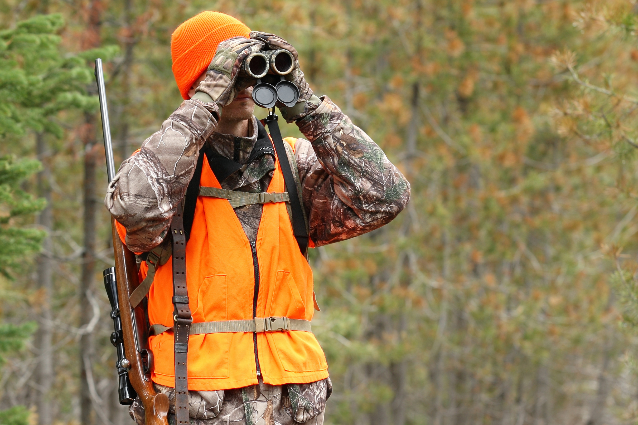 Image of Safety during hunting season