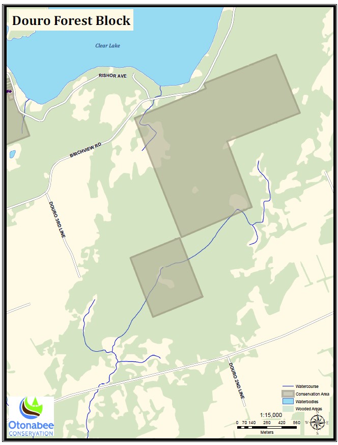 Map of Douro Forest Block, with area marked in brown