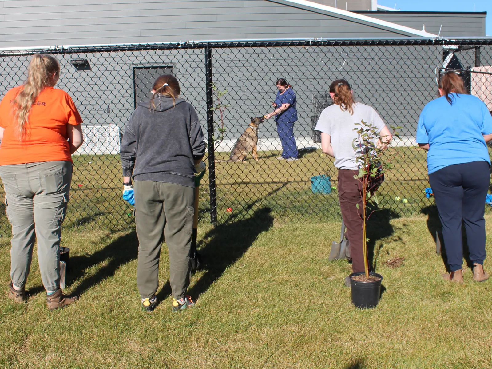 Pro Humane Tree Planting Project 125 trees planted at Humane Society | Otonabee Conservation