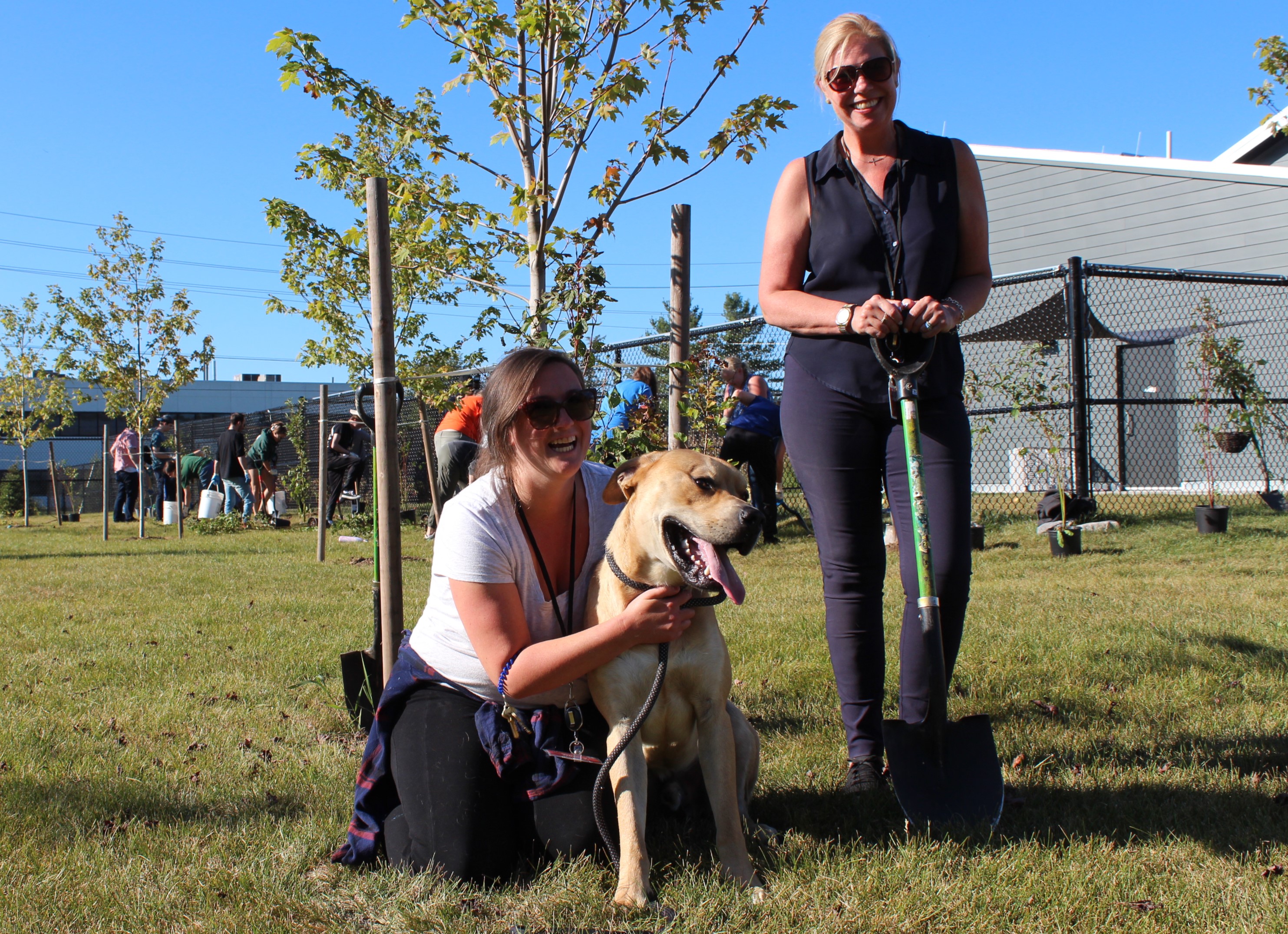 Image of 125 trees planted at Humane Society