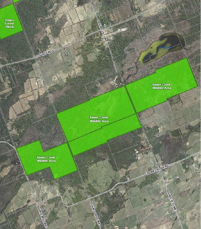 Map of Sawer Creek Wildlife Area with boundaries indicated in bright green