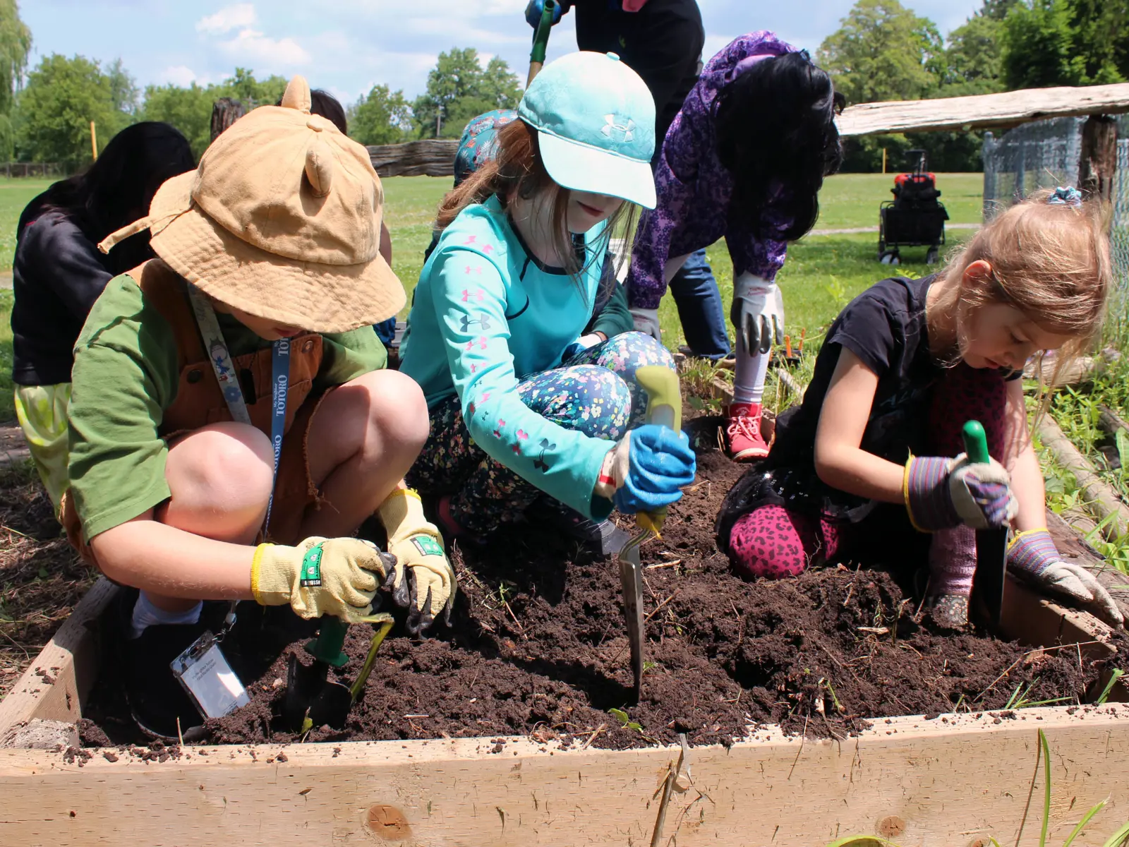 Environmental Education Programs | Otonabee Conservation