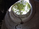 looking up through a circular kettle cut in the rock with sunshine and trees appearing through the hole.